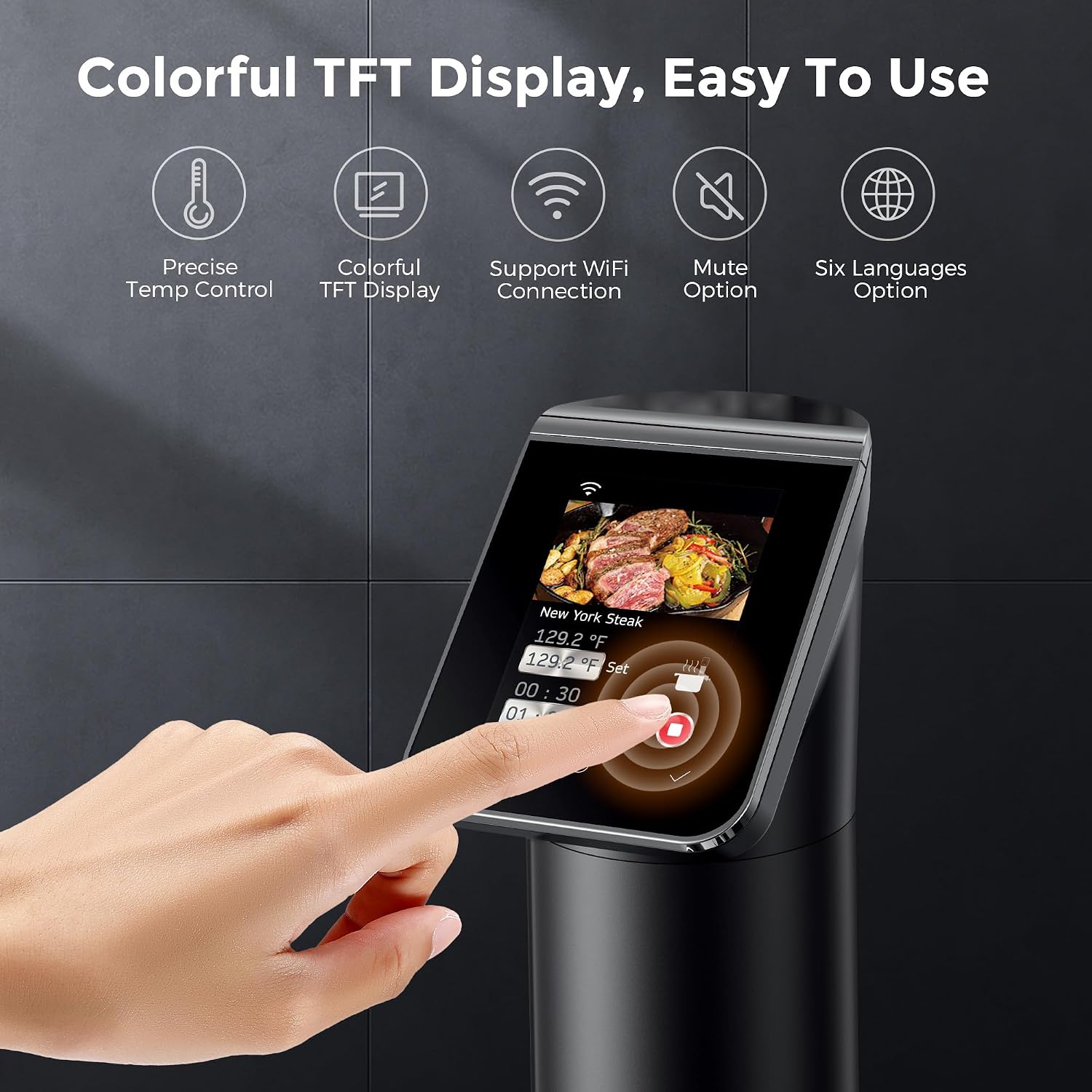 1100W Siyah WiFi Sous Vide Piş - Sous Vide Immersion incelemesi ve fiyatı