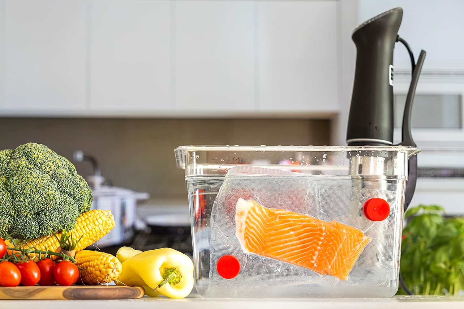Sous Vide mıknatıslar 8 - Food - Sous Vide Immersion incelemesi ve fiyatı