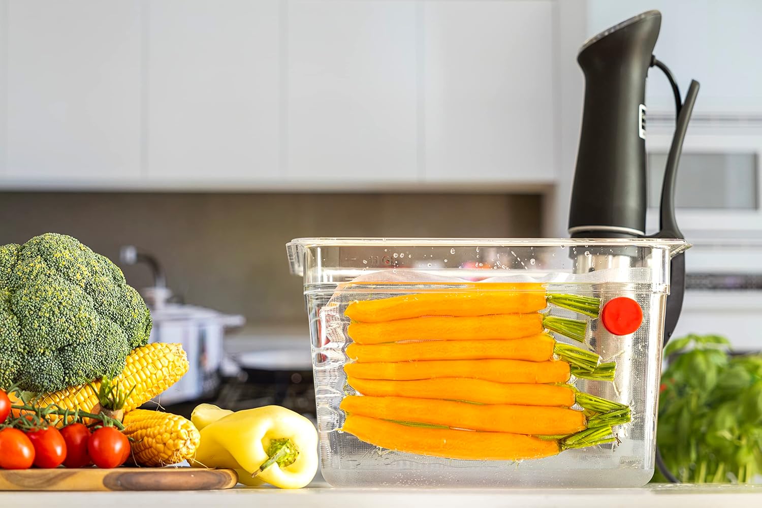 Sous Vide mıknatıslar 8 - Food - Sous Vide Immersion incelemesi ve fiyatı