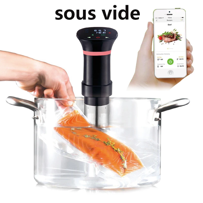 220V Sous Vide Hassas Pişirici - Sous Vide Immersion incelemesi ve fiyatı